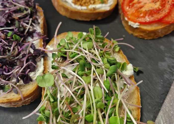 Sport Relax Na Kopecku *